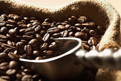 Epic喜加一：《Apex Legends》：导线管免费解锁捆绑包免费