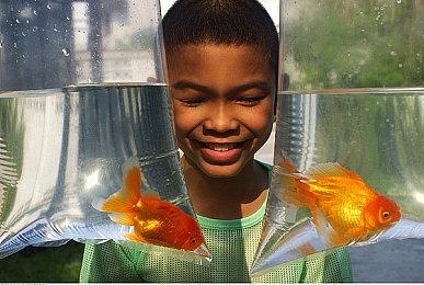 《鬼泣5》持续热销 累计销量现已突破1000万套