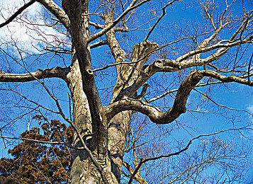 卡牌战斗游戏《Card-en-Ciel天穹卡牌录》现已推出体验版